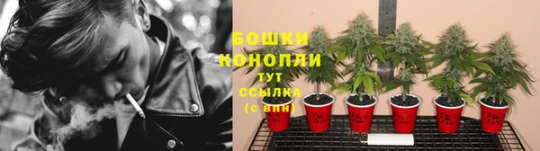 амфетамин Белокуриха